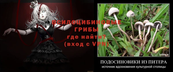 ешки Богородск